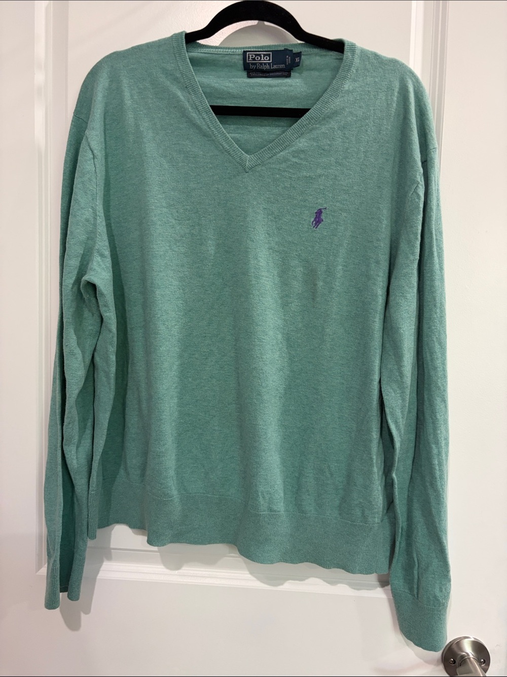 Polo by Ralph Lauren V-Neck Sweater in Seafoam Green with Purple Pony